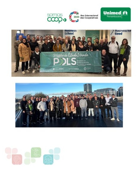 Missão de Estudo na Irlanda – Programa de Líderes da Saúde