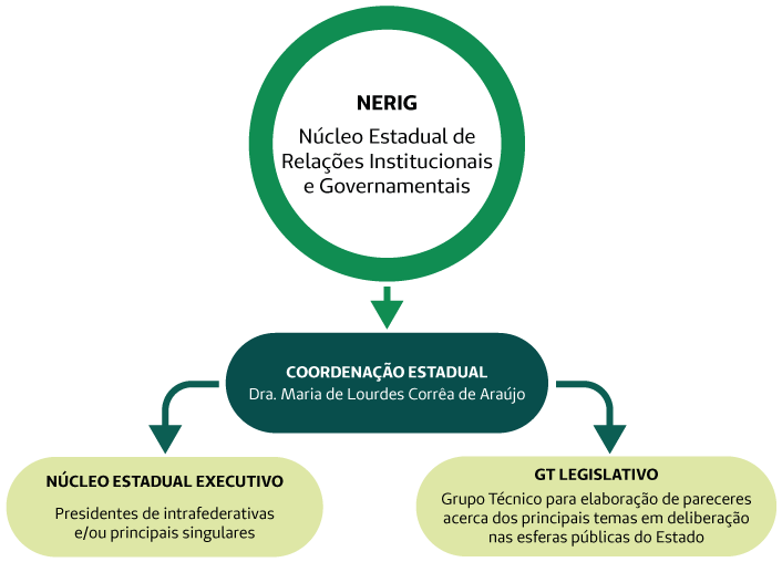 imagem do organograma do núcleo estadual de relações institucionais e governamentais